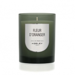 Les Bougies - Fleur d'Oranger | Parfums de créateurs